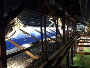 HÃºsavÃ­k Whale Museum